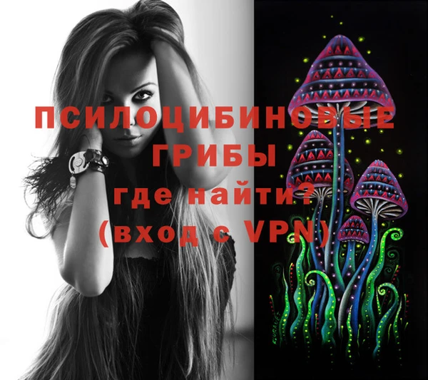 герыч Зерноград