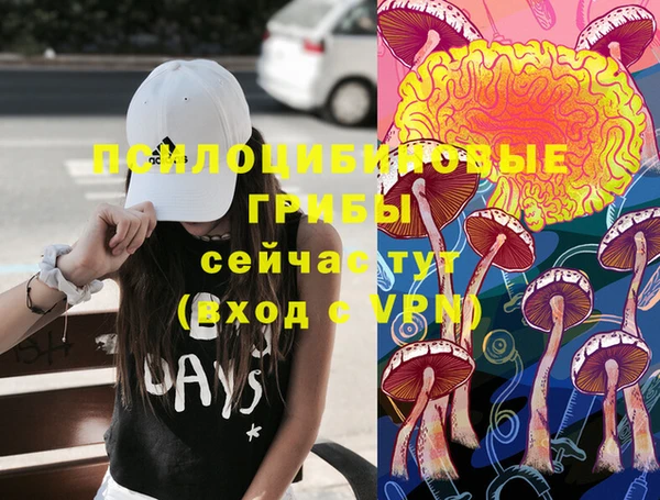 герыч Зерноград