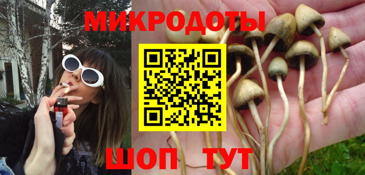 Галлюциногенные грибы Psilocybine cubensis  Вход с VPN  Саяногорск 