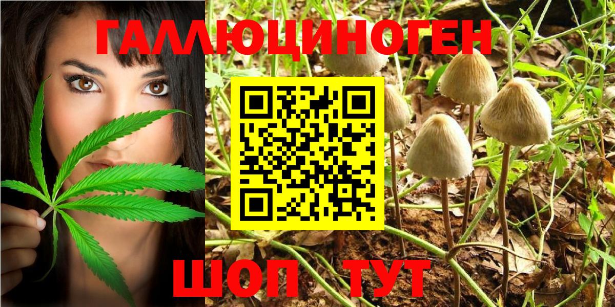 Галлюциногенные грибы Magic Shrooms Саяногорск